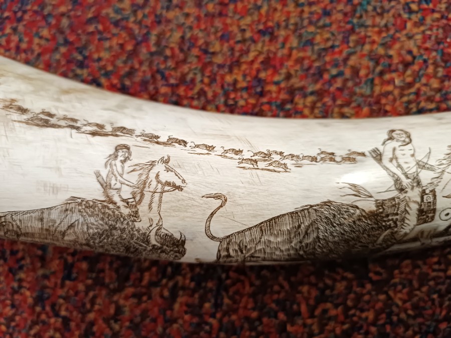 Discover unique 20th century Scrimshaw art at our store! This vintage bison hunting scene is a perfect addition to any collection. Admire its fine detail. Shop now!