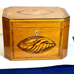 Tea Caddie Satinwood With Shell Inlays Georgian