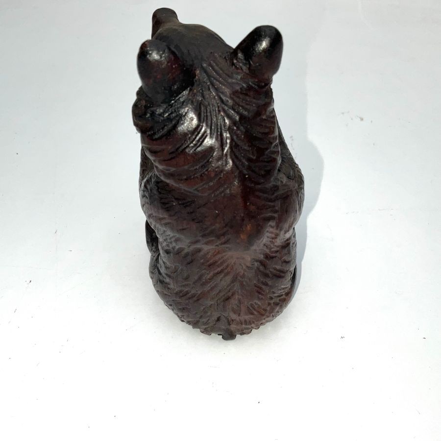Black Forest Bear