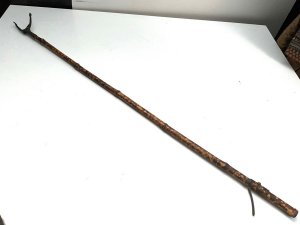 Regency Library’s  Books  Grabber
