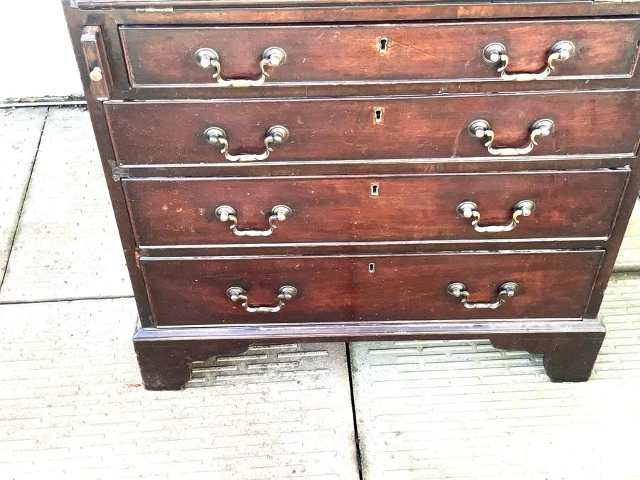 Burea Mahogany Small Sized