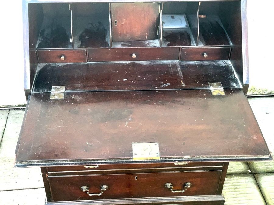 Burea Mahogany Small Sized