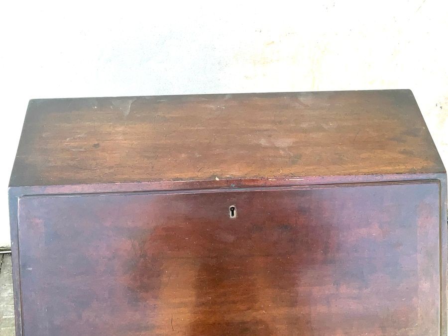Burea Mahogany Small Sized