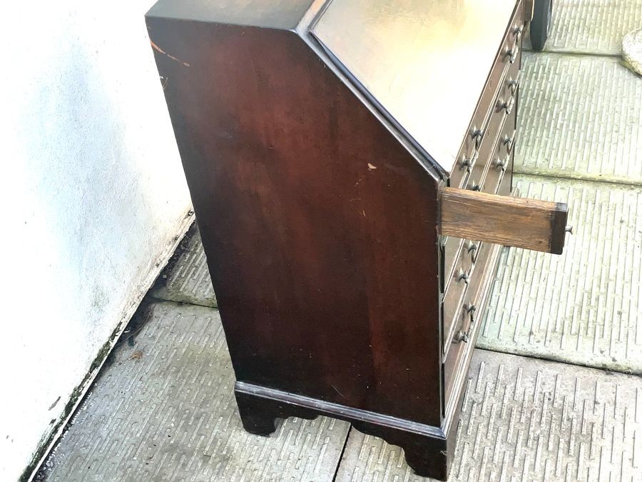 Burea Mahogany Small Sized