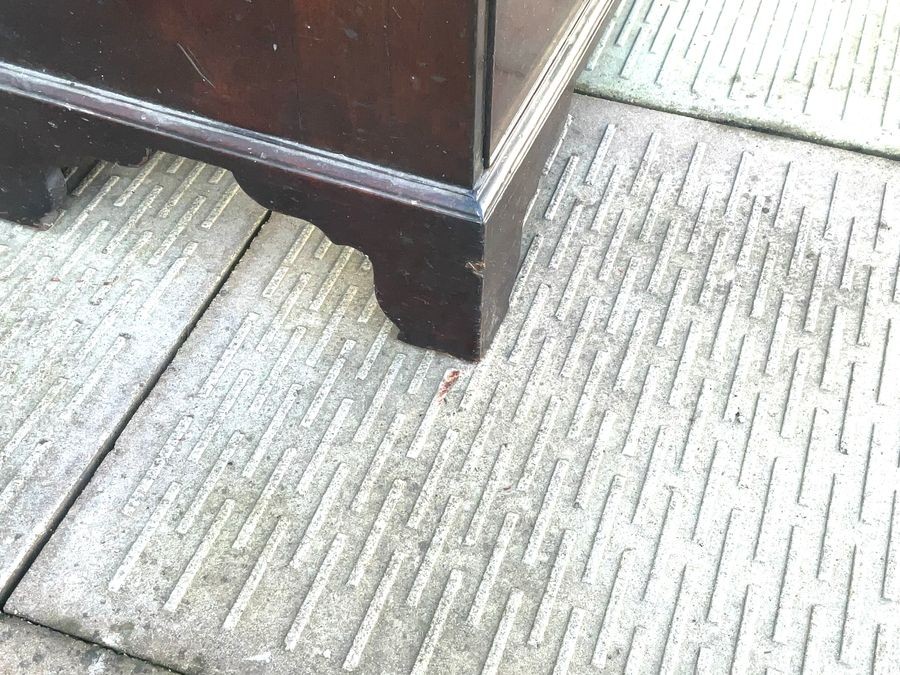 Burea Mahogany Small Sized