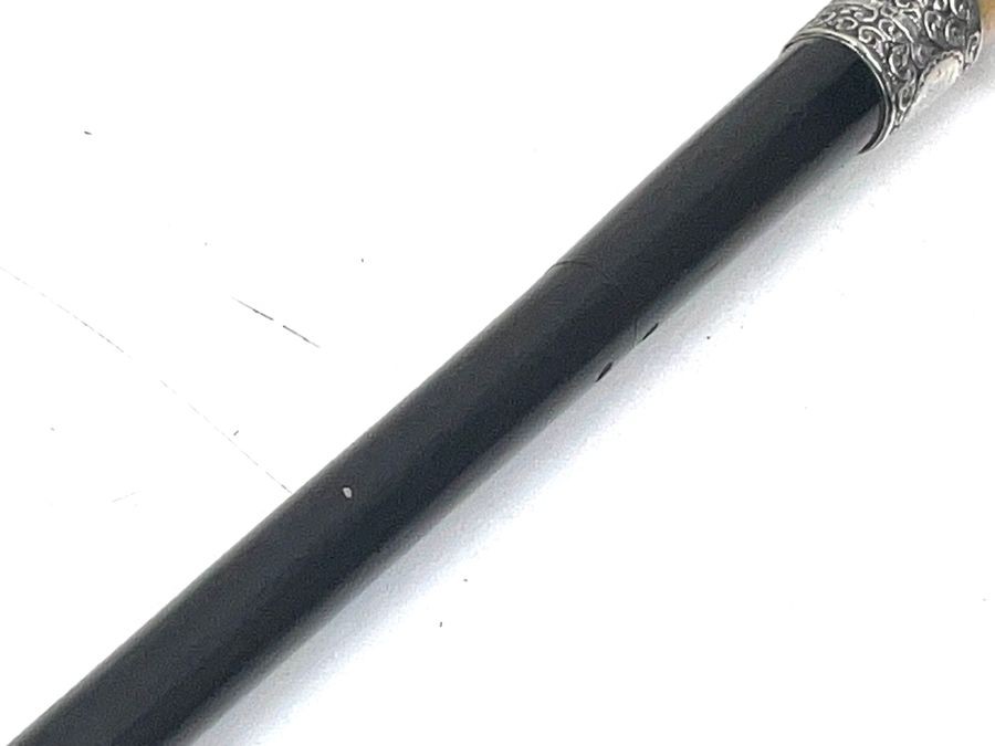 Gentleman’s Walking Stick Sword Stick Fantastic
