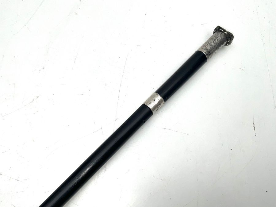 Gentleman’s Walking Stick Sword Stick