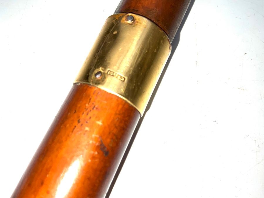 Military Officers Walking Stick/swagger / Sword Stick