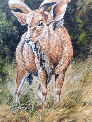 Discover unique, hand-painted artwork by British artist Stephen Gayford. Explore realistic acrylic on board depictions of African jungles on medium-sized driftwood frames. Buy now!