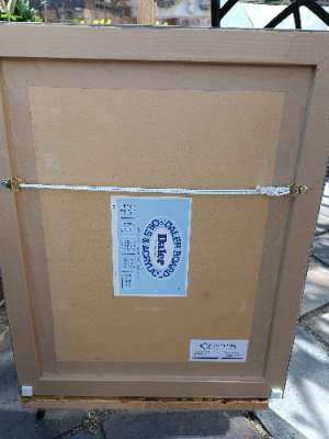 Discover unique, hand-painted artwork by British artist Stephen Gayford. Explore realistic acrylic on board depictions of African jungles on medium-sized driftwood frames. Buy now!