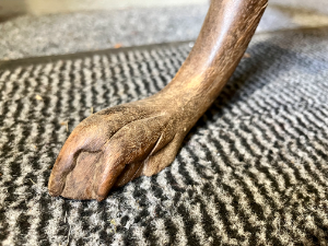 Antique 19th Century Intricately Hand Carved Wooden Display Shelf Hall Stand VGC