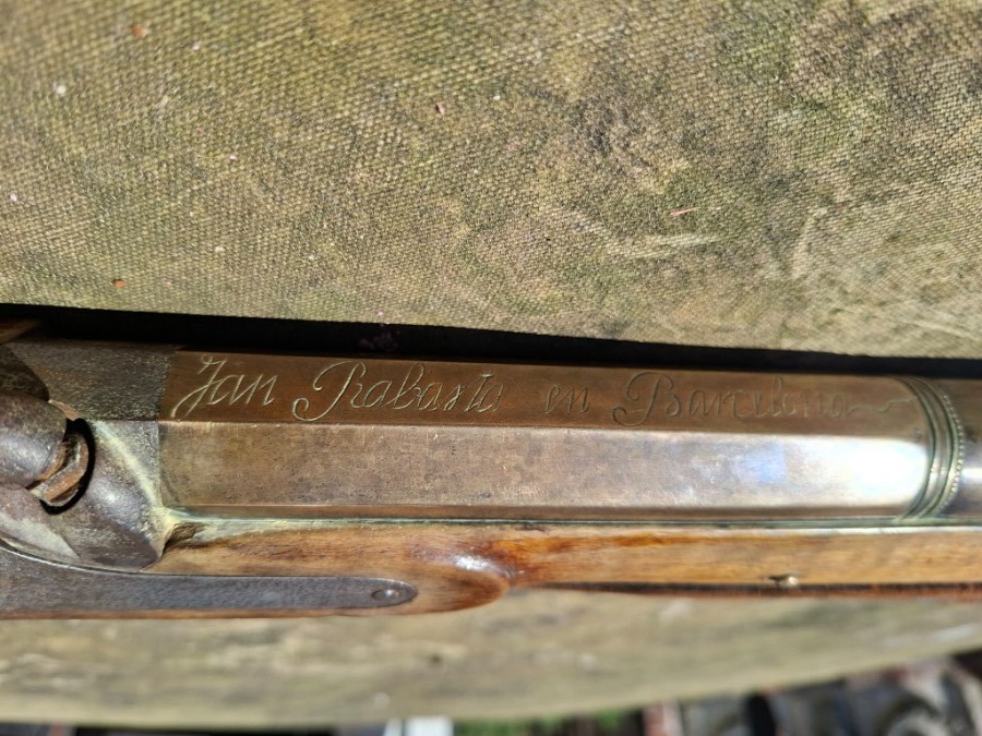 Catalan Brass Barrelled Blunderbuss, Percussion