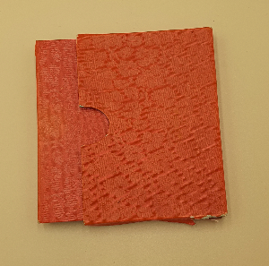 Discover the unique Costumi Della Corte Pontificia 1846, a historical anthology of papal attire. Explore 30 vivid, colored plates of Pope Pius IX's court dress. Order your copy now!