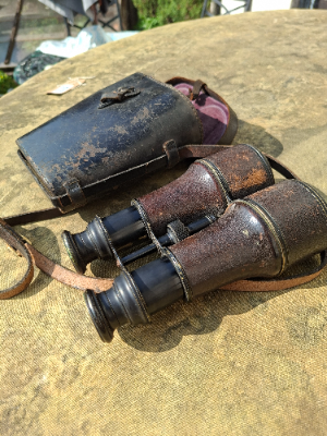 Early 20th Century French Styled Binoculars And Case
