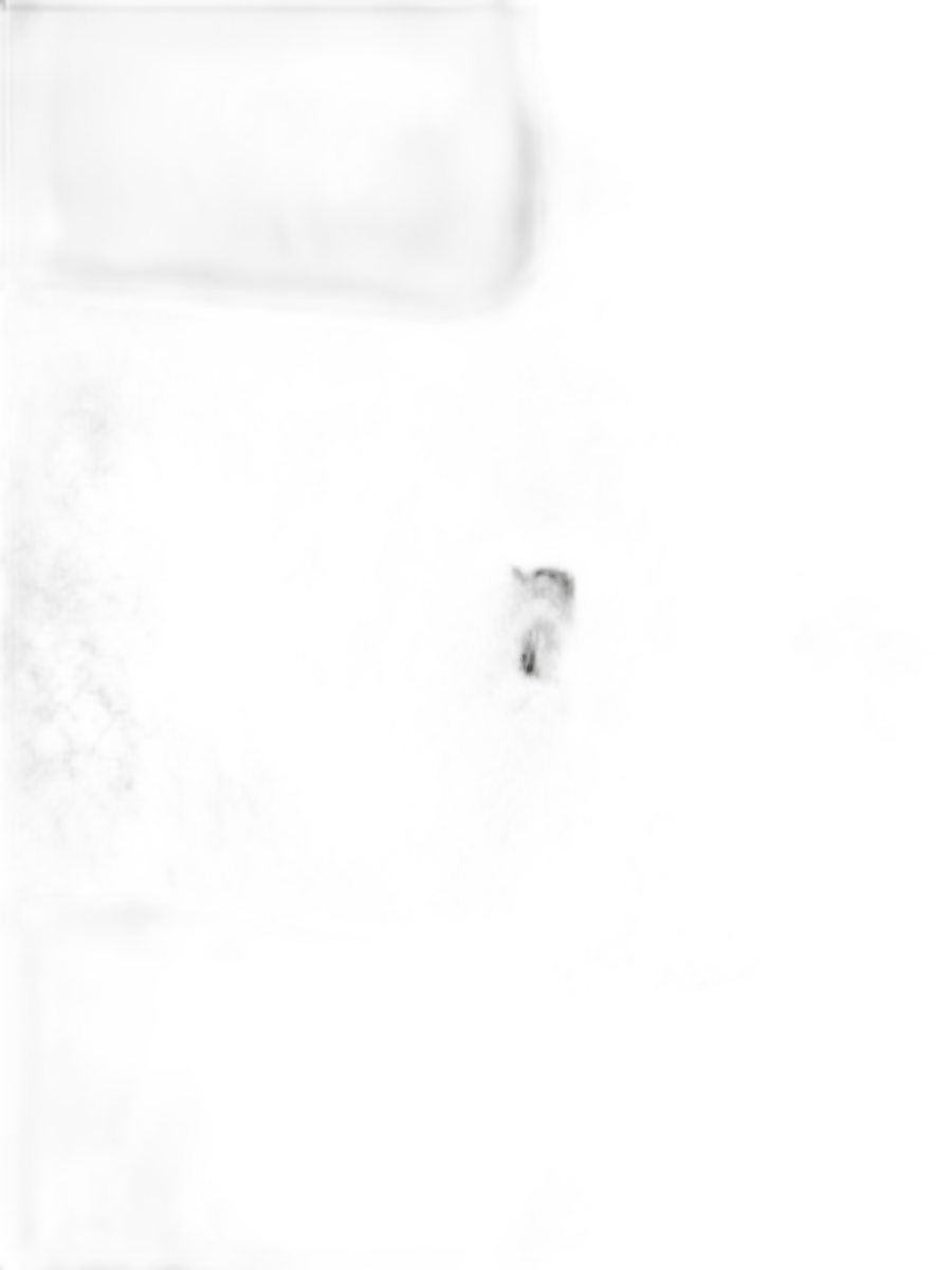 Discover our unique proto-voulge head, crafted with distinct maker's mark. Get captivated by its unknown date and provenance. Shop now to add mystery to your collection!