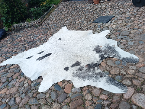 Exclusive XXL  One Piece Of Cow Skin Rug