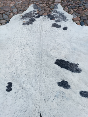 Exclusive XXL  One Piece Of Cow Skin Rug