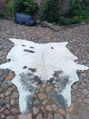 Exclusive XXL  One Piece Of Cow Skin Rug