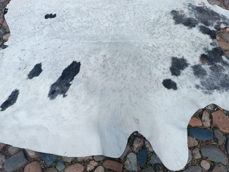 Exclusive XXL  One Piece Of Cow Skin Rug