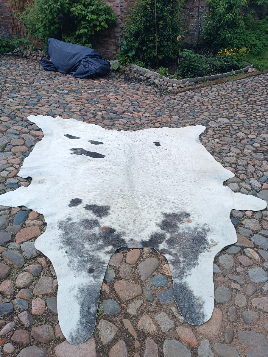 Exclusive XXL  One Piece Of Cow Skin Rug