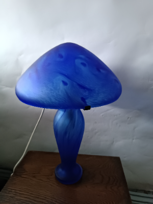 Discover 20th Century French Vianne glass table lamps by Serge Ligardes online. Explore our signed, unique mushroom-shaped lamps with dappled blue swirl decoration. Shop now!