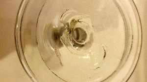 Discover our 18th century Georgian Ale/Cordial Glass with unique wheel-cut decoration. A perfect blend of history and artistry, it promises a bright, enchanting sound. Shop now.