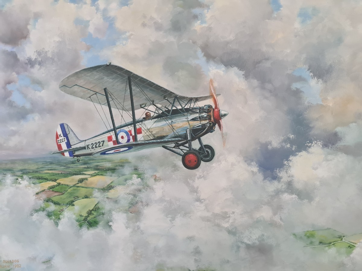 Discover our stunning range of classic aircraft artworks! Shop for your favorite Bristol Bulldog painting by Bill Cockburn, size 20 x 30", in great condition. Order now!