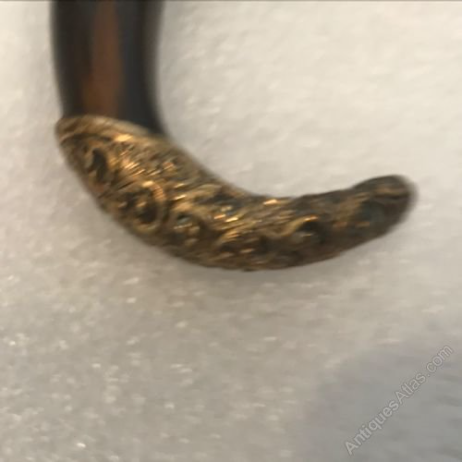 Stunning  Horned gold handled walking stick / sword