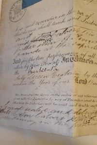 Vellum Pharmacist's Apprentice Indenture