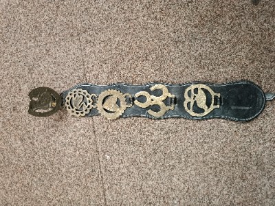 A vintage 5 horse brasses on the leather strap from one equestrian family.  Size  53 cm long.