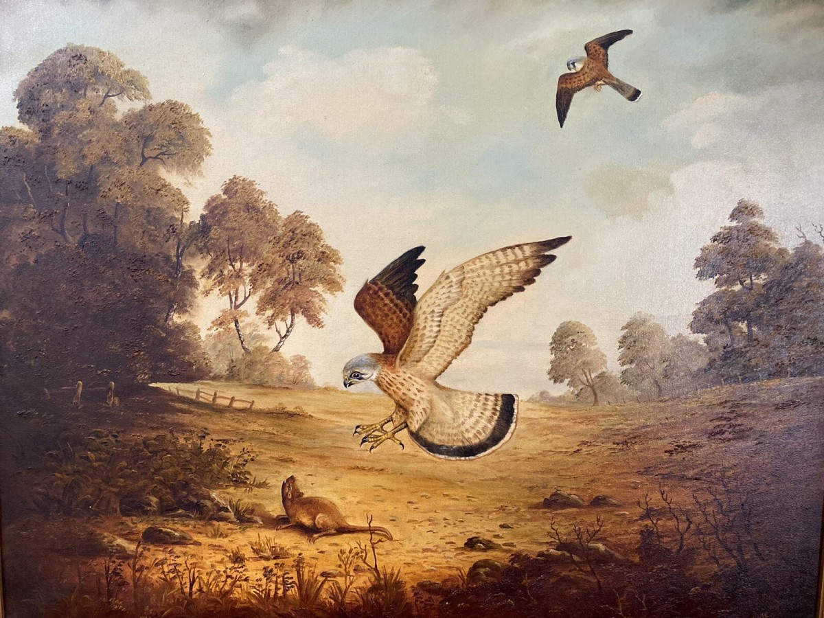 Original Oil Painting Of Hunting Birds Of Prey Signed By Artist G Millhouse