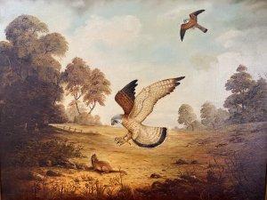 Original large oil painting on canvas, signed by artist G Millhouse in the bottom right corner. The painting depicts a pair of kestrels hunting in unison across an open landscape, with one swooping down towards a large rodent while the other flies overhead. Warm earth tones and golds, delicate brushwork and fine attention to detail bring the birds and surrounding landscape to life. Presented in an ornate gilt frame. Dimensions: 31.5 inches high × 39.5 inches wide.