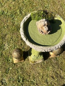 Cherub Bird Bath With Conical Mounts Circa - Vintage Composition- Reconstituted Stone Listing Description Wonderfully Ornate Victorian Style Bird Bath Comprised Of Cherub Base Pediment Holding Acanthus Leaf Decorated Bowl. Lion Head Emblem Sits Central Of Bath Bowl. Set Complete With Pair Of Gilded Conical Mounts. Perfect for adding a touch of grandeur to your garden. Dimensions In Inches Bird Bath Height 100cm x Width Top 47cm Conical Mounts Height 30cm x Base Width SQ 17cm For more information please call our museum curator on 07707 488566 Thank-you