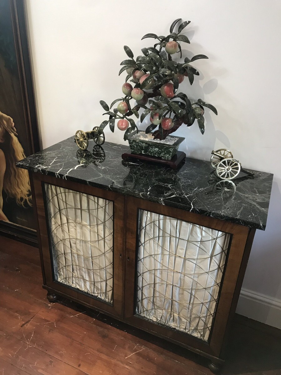 Fine Period Regency Two Door Dwarf Bookcase With Brass Wire Door Grills