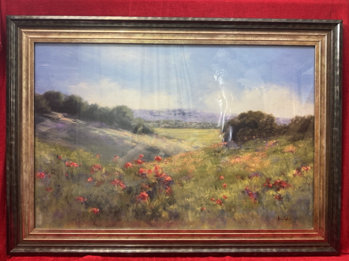 Large 20c Poppies In A Green Meadow View By Alice Weil Framed Canvas Print