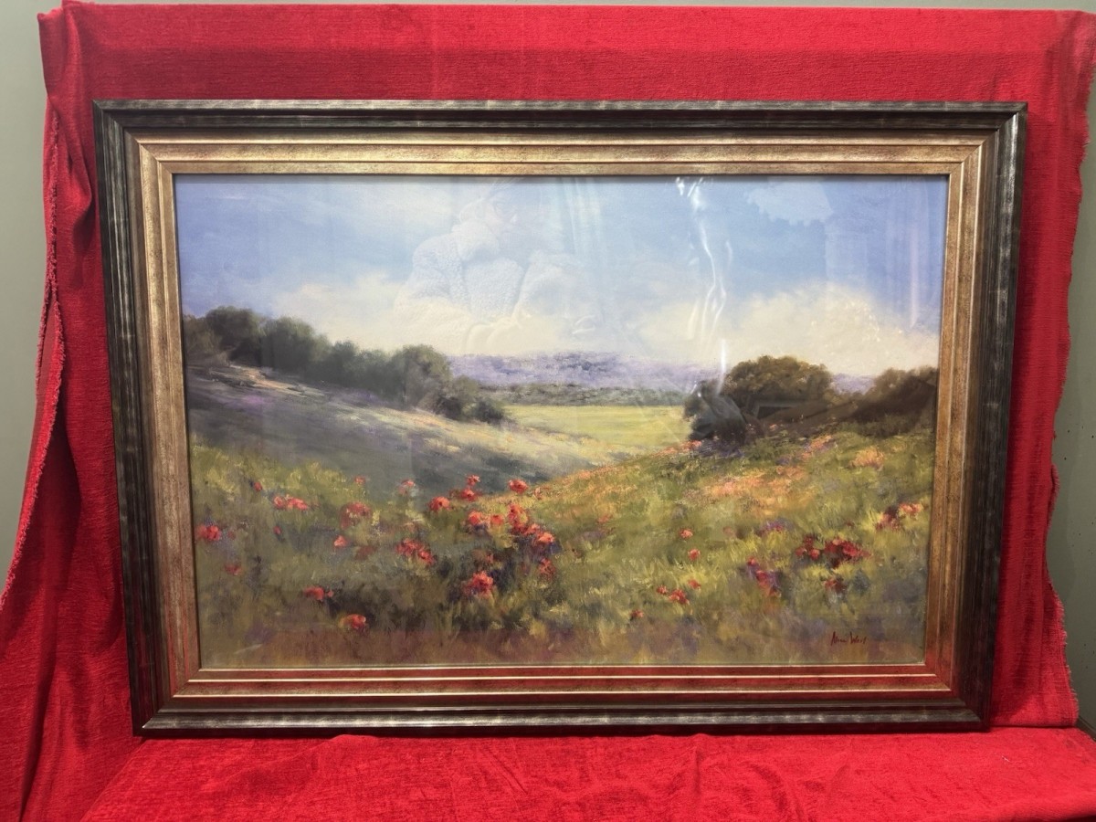 Large 20c Poppies In A Green Meadow View By Alice Weil Framed Canvas Print
