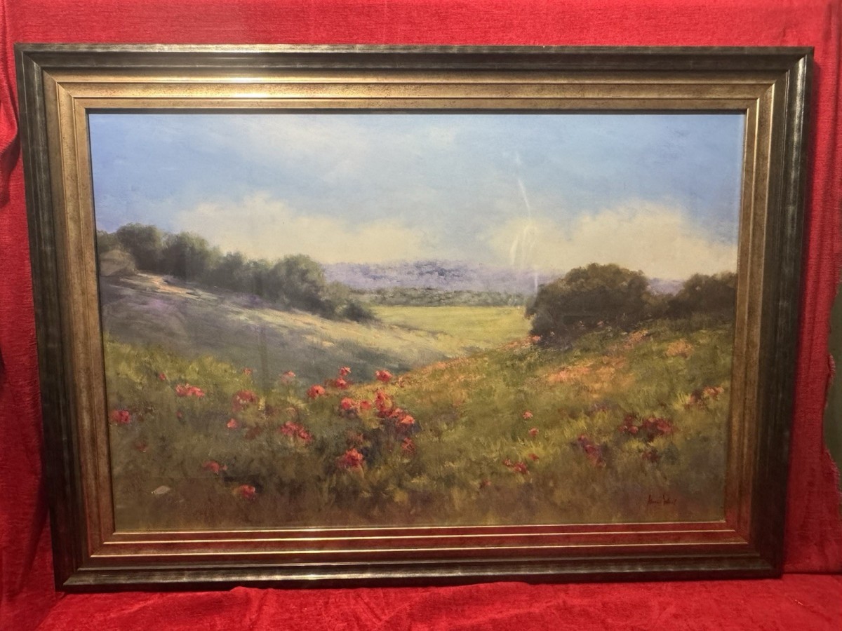 Large 20c Poppies In A Green Meadow View By Alice Weil Framed Canvas Print