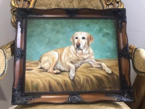 Contemporary Oil On Canvas Of Golden Retreiver Dog Framed & Signed Golden Retriever Reclining On A Rug Lovely Life Like Portrait In Stunning Detail Signed By The Artist R Bookmens Set In Ornate Carved Walnut Frame Dog Lovers Collectors Piece Provenance Purchased From Fine Art Gallery Stamped On The Rear Dimensions In Inches Height 19.5” Width 24”