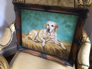 Contemporary Oil On Canvas Of Golden Retreiver Dog Framed & Signed Golden Retriever Reclining On A Rug Lovely Life Like Portrait In Stunning Detail Signed By The Artist R Bookmens Set In Ornate Carved Walnut Frame Dog Lovers Collectors Piece Provenance Purchased From Fine Art Gallery Stamped On The Rear Dimensions In Inches Height 19.5” Width 24”