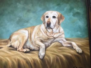 Contemporary Oil On Canvas Of Golden Retreiver Dog Framed & Signed Golden Retriever Reclining On A Rug Lovely Life Like Portrait In Stunning Detail Signed By The Artist R Bookmens Set In Ornate Carved Walnut Frame Dog Lovers Collectors Piece Provenance Purchased From Fine Art Gallery Stamped On The Rear Dimensions In Inches Height 19.5” Width 24”