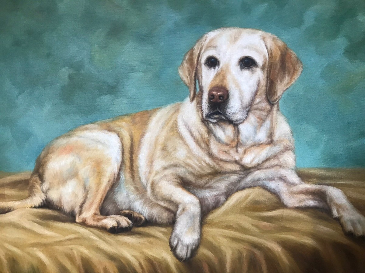 Contemporary Oil On Canvas Of Golden Retreiver Dog Framed & Signed