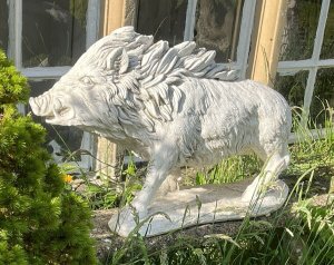 Classical Horned Prowling Wild Boar Garden Showpiece Composition - Reconstituted Stone Listing Description Fine Classical Wild Prowling Boar Statue, Boars Head Angle To The Right Side. Fierce Elongated Snout With Open Mouth & Large Protruding Teeth. Thick Main Runs From Ears Down The Back With Shaggy Coated Body And Detailed Trotters. Interesting Showpiece For Country Garden, A Great Conversation Piece. Heavy Item 70kg Approx Dimensions In Cm Height 52cm x Width 83cm x Depth 25cm For Further Information Please Call Our Curator On 07707 488566