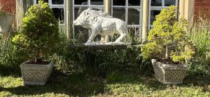 Classical Horned Prowling Wild Boar Garden Showpiece Composition - Reconstituted Stone Listing Description Fine Classical Wild Prowling Boar Statue, Boars Head Angle To The Right Side. Fierce Elongated Snout With Open Mouth & Large Protruding Teeth. Thick Main Runs From Ears Down The Back With Shaggy Coated Body And Detailed Trotters. Interesting Showpiece For Country Garden, A Great Conversation Piece. Heavy Item 70kg Approx Dimensions In Cm Height 52cm x Width 83cm x Depth 25cm For Further Information Please Call Our Curator On 07707 488566