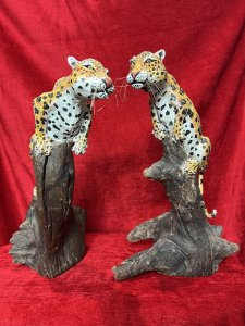 Pair Of Modernist Decorative Stalking Leopard Driftwood Sculptures Circa - Vintage Composition - Carved Driftwood Listing Description Pair Of Decorative African Stalking Leopard Sculptures, Carved From Single Pieces Of Driftwood And Both Set In Different Poses. Leopards Hand Painted In Detail With Vivid Colour And Ornamental Whiskers, Posed Asif Upon Tree Stump. Fabulous Heavy Quality Pair For Animal Collector Decorative Display. Dimensions in Inches Height 14" X Width 13" X Depth 10"