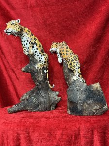 Pair Of Modernist Decorative Stalking Leopard Driftwood Sculptures Circa - Vintage Composition - Carved Driftwood Listing Description Pair Of Decorative African Stalking Leopard Sculptures, Carved From Single Pieces Of Driftwood And Both Set In Different Poses. Leopards Hand Painted In Detail With Vivid Colour And Ornamental Whiskers, Posed Asif Upon Tree Stump. Fabulous Heavy Quality Pair For Animal Collector Decorative Display. Dimensions in Inches Height 14" X Width 13" X Depth 10"