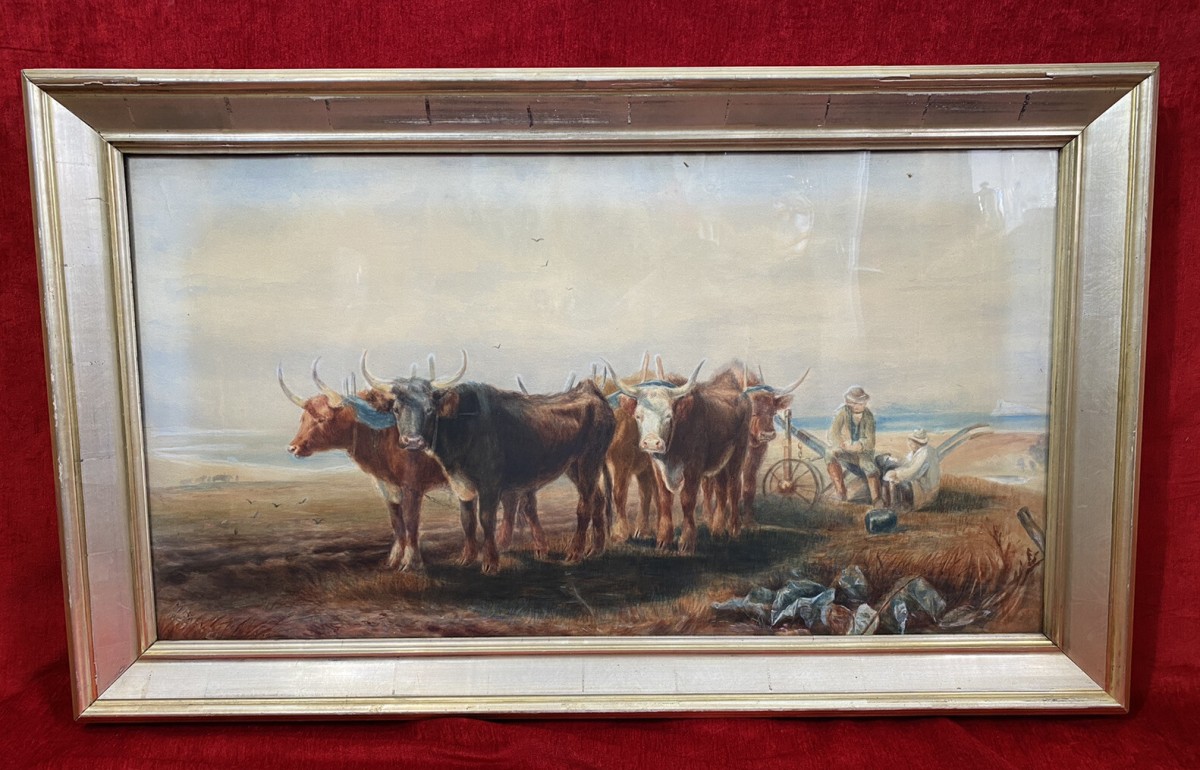 Primary image for 19th Century Scottish School Watercolour Of Highland Oxen With Plough Signed