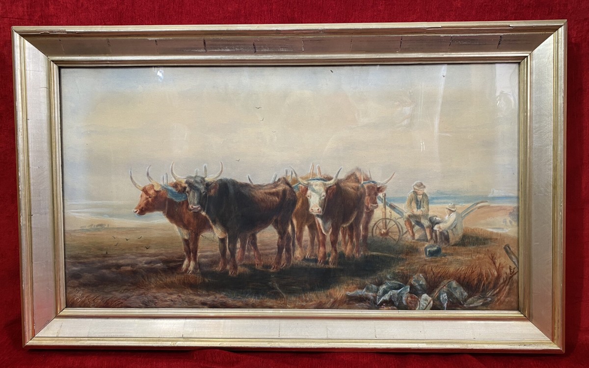 19th Century Scottish School Watercolour Of Highland Oxen With Plough Signed