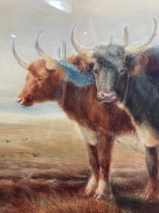 19th Century Scottish School Watercolour Of Highland Oxen With Plough Signed Circa - Victorian Dated 1899 Composition - Watercolour Upon Canvas Listing Description Large Antique Original Victorian Watercolour Painting, Signed And Dated By Very Accomplish Artist (Monogram M BARW). The Artwork Showcases In Central View Five Scottish Oxen In Harnesses With 'Scots Plough' At The Rear. Three Of The Oxen Gaze Eagerly Towards The Sitter As The Farmer And His Accomplice Sit Resting Deep In Conversation. High Quality Artwork With The Animals Painted In Fine Detail. Paintwork In Rich Earth Tones Of Auburn, Rust, And Yellow. The Artist Capturing The Hot Sun In Detailed Light And Shadow. Wonderful Perspective With Water View In The Distance. Set In Original Gilt Frame And Glazed For Preservation. Dimension In Cms Height Width Depth
