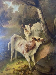 Fine Quality A H MILTON DRINKWATER Calves In Landscape Oil Painting Dated 1901 Circa - Dated 1901 Composition - Framed Oil On Canvas A Exceptional Quality Victorian Original Monumental Oil Masterpiece. Set In Elaborate Carved Acanthus And Laurel Leaf Gilt Frame By Very Well Documented 19th Century Artist A H Milton Drinkwater. The Composition Depicts Two Finely Painted Holstien Calves Standing Next To A Large Stone Boulder As In A Holloway Path With Birch Trees As If Aware Of The Audience . The Animals Are So Finely Painted With Intricate Details Of Their Faces, Fur Coats And Hooves You Would Think They could Step Out Of The Painting. Stunning Perspective And Use Of Light And Shadow In Very Accomplished Brushwork. Fine Quality Collectors Artwork In Impressive Original Condition. Dimensions In Inches Height 50" Width 43" Frame Depth 5"