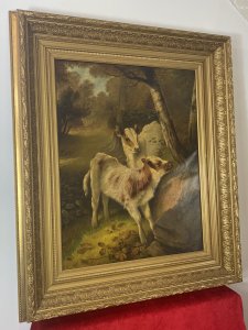 Fine Quality A H MILTON DRINKWATER Calves In Landscape Oil Painting Dated 1901 Circa - Dated 1901 Composition - Framed Oil On Canvas A Exceptional Quality Victorian Original Monumental Oil Masterpiece. Set In Elaborate Carved Acanthus And Laurel Leaf Gilt Frame By Very Well Documented 19th Century Artist A H Milton Drinkwater. The Composition Depicts Two Finely Painted Holstien Calves Standing Next To A Large Stone Boulder As In A Holloway Path With Birch Trees As If Aware Of The Audience . The Animals Are So Finely Painted With Intricate Details Of Their Faces, Fur Coats And Hooves You Would Think They could Step Out Of The Painting. Stunning Perspective And Use Of Light And Shadow In Very Accomplished Brushwork. Fine Quality Collectors Artwork In Impressive Original Condition. Dimensions In Inches Height 50" Width 43" Frame Depth 5"